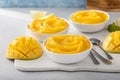 Mango ice cream or nice cream, blended frozen mango dessert Royalty Free Stock Photo