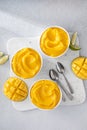 Mango ice cream or nice cream, blended frozen mango dessert Royalty Free Stock Photo