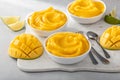 Mango ice cream or nice cream, blended frozen mango dessert Royalty Free Stock Photo