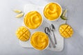 Mango ice cream or nice cream, blended frozen mango dessert Royalty Free Stock Photo