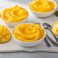 Mango ice cream or nice cream, blended frozen mango dessert Royalty Free Stock Photo