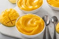 Mango ice cream or nice cream, blended frozen mango dessert Royalty Free Stock Photo