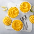Mango ice cream or nice cream, blended frozen mango dessert Royalty Free Stock Photo