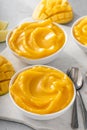 Mango ice cream or nice cream, blended frozen mango dessert Royalty Free Stock Photo