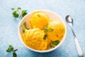 Mango ice cream, sorbet in a plate on a concrete backgroun Royalty Free Stock Photo