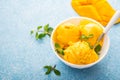 Mango ice cream, sorbet in a plate on a concrete background Royalty Free Stock Photo