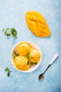 Mango ice cream, sorbet in a plate on a concrete background, top view Royalty Free Stock Photo