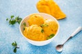 Mango ice cream, sorbet in a plate on a concrete background, top view