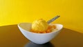Mango ice cream and sticky rice Royalty Free Stock Photo