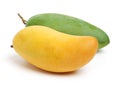 Mango Royalty Free Stock Photo