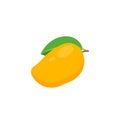 Mango isolated on white background. Vector illustration