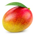 Mango isolated on white Royalty Free Stock Photo
