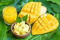 Mango juice glass with mango slice on mango leaves from tree tropical summer fruit concept - Sweet ripe mangos Royalty Free Stock Photo