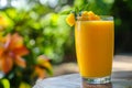 Mango Juice, Raw mango juice in Mango Garden, Refreshing drink for Summers Royalty Free Stock Photo