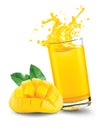 Mango juice splash out of glass with mango fruit on white background Royalty Free Stock Photo