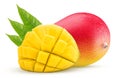 Mango with a leaf exotic friut one cut in half cubes Royalty Free Stock Photo