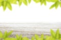 Mango leaf frame and white table with empty space for text Royalty Free Stock Photo