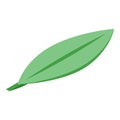 Mango leaf icon, isometric style