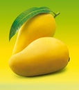 Mango with Leaf Royalty Free Stock Photo
