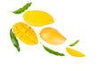 Mango and leaves flat lay on isolated background Royalty Free Stock Photo