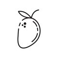 mango line art icon logos set image