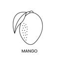 Mango line icon in vector, fruit illustration