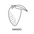 Mango line icon in vector, fruit illustration