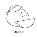 Mango line icon in vector, fruit illustration