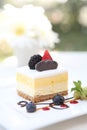 Mango mousse cheese cake Royalty Free Stock Photo