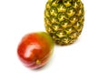 Mango and pineapple isolated on a white background Royalty Free Stock Photo