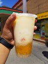 Mango Pomelo Sago