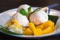 Mango pudding. mango ice cream with sticky rice