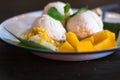 Mango pudding. mango ice cream with sticky rice