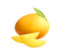 Mango Realistic Illustration Royalty Free Stock Photo