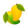 Mango ripe fruit simple isolated on white background, yellow mango cartoon for clip art, illustration mango for icon