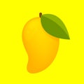 Mango ripe fruit simple isolated on yellow background, yellow mango cartoon for clip art, illustration mango for icon