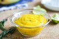 Mango salad dressing Royalty Free Stock Photo