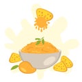 Mango sauce for nachos tortilla chips in the bowl in flat style. Perfect for tee, stickers, menu and poster. Isolated vector Royalty Free Stock Photo