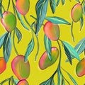 Mango seamless fabric pattern pink green plant on yellow background , vivid summer design, leaves and seed . Mango tree jungle