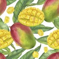 Mango seamless pattern. Watercolor illustration. Hand drawn on isolated white background. Botanical painting of tropical Royalty Free Stock Photo