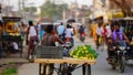 mango seller at street outdoor image