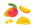 Mango set. Whole tropical fruit, slice, peeled and cut.