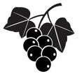 grapes silhouette icon vector