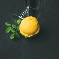 Mango sorbet ice cream scoop in scooper, square crop Royalty Free Stock Photo