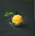 Mango sorbet ice cream scoop, square crop, copy space Royalty Free Stock Photo