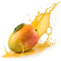 Mango splash isolated Royalty Free Stock Photo