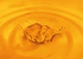 MANGO SPLASH ON THE MANGO PULP MANGO MILK SHAKE FRESH MANGO PULP Royalty Free Stock Photo