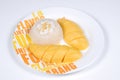 Mango Sticky Rice Dessert Royalty Free Stock Photo