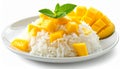 Mango Sticky Rice Dessert on White Plate Royalty Free Stock Photo