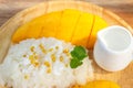 Mango with sticky rice. Favorite thai dessert in summer season. Sweet and freshness tast Royalty Free Stock Photo